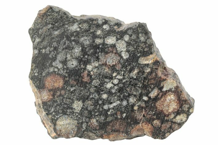 Chondrite Meteorite Section ( g) - NWA #271646